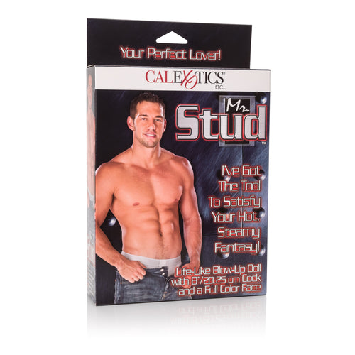 Mr. Stud — Poupée intime